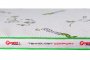 Топпер Lonax Organic Ultra Multizone (Органик Ультра Мультизон)